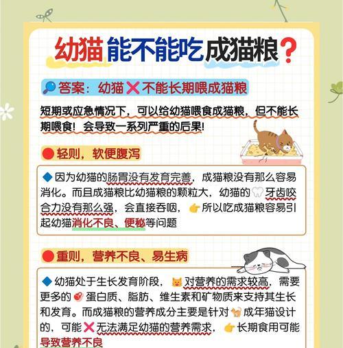 小猫嗑猫粮是什么原因？我们应该如何应对？