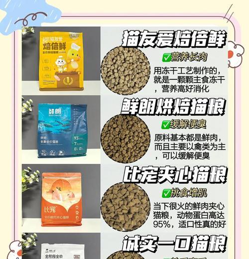 新手养猫，选择哪种猫粮最合适？