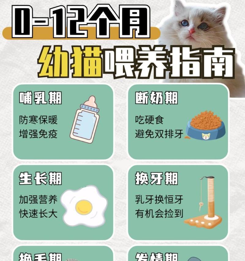 孩子不吃羊奶泡猫粮怎么办？如何改善？