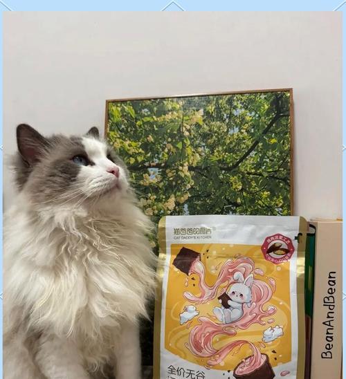 安生和泡芙猫粮有何不同？哪种更适合猫咪？