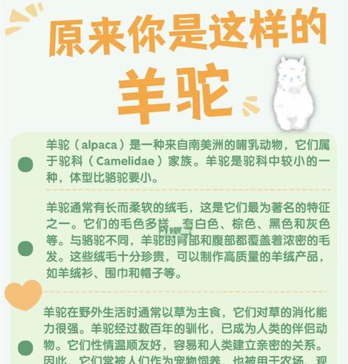 羊驼吐口水频繁是病吗？羊驼吐口水的原因是什么？