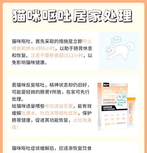 打针后猫咪吐猫粮怎么办？猫咪打针后呕吐的应对措施是什么？