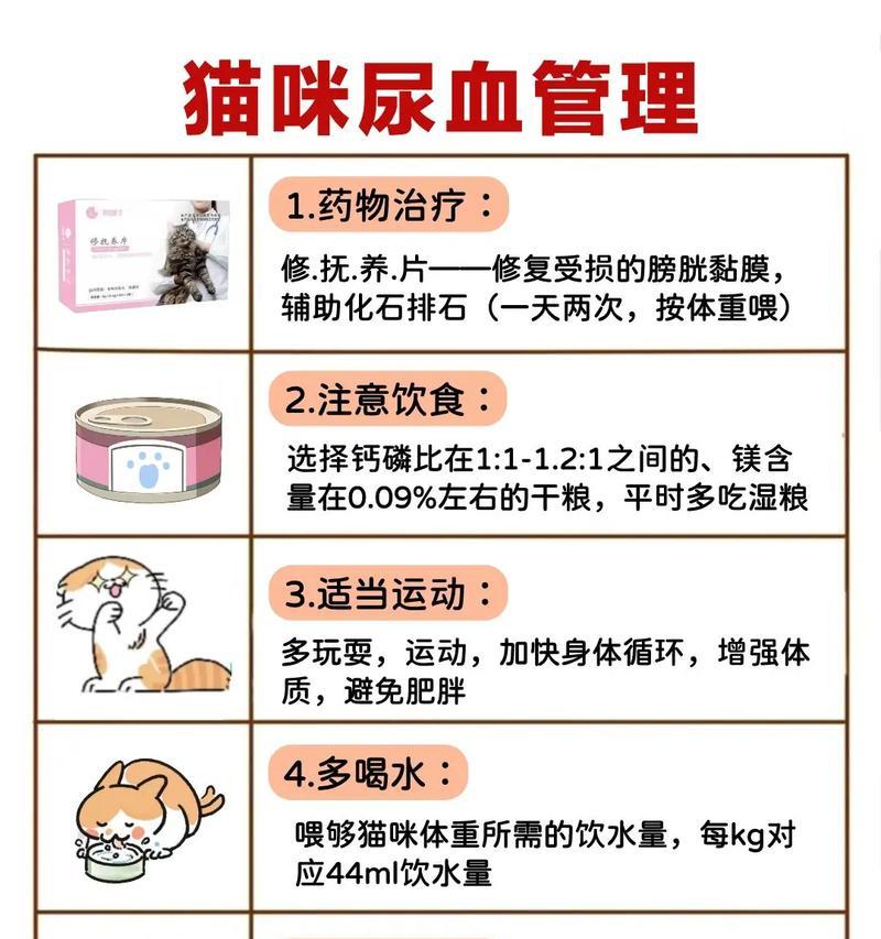 猫咪吃猫粮后尿血的原因是什么？应如何处理？