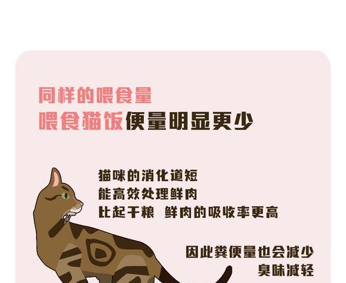 湿粮猫饭餐盒的正确使用方法是什么？如何保持猫饭新鲜？