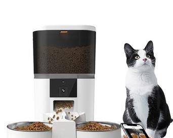 给猫喂猫粮用什么工具？这些工具如何使用？