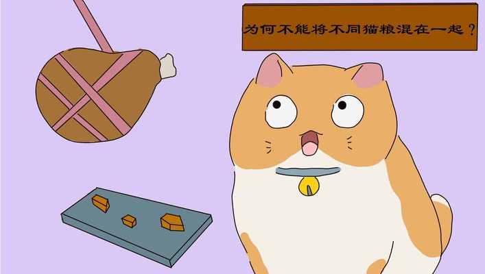 猫咪断电后吃猫粮会死亡吗？原因是什么？