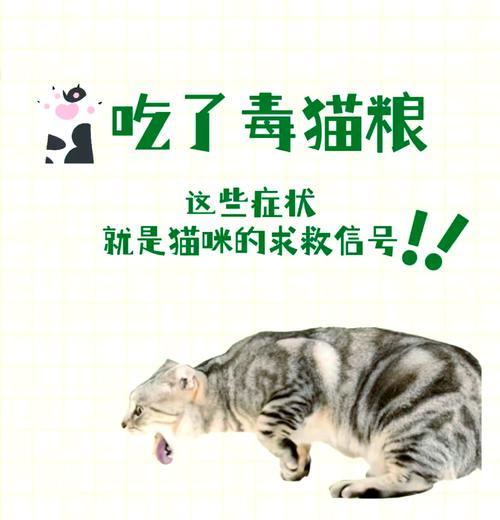 猫咪断电后吃猫粮会死亡吗？原因是什么？