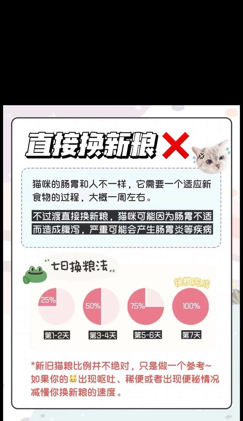 猫咪偷走猫粮后该如何处理？