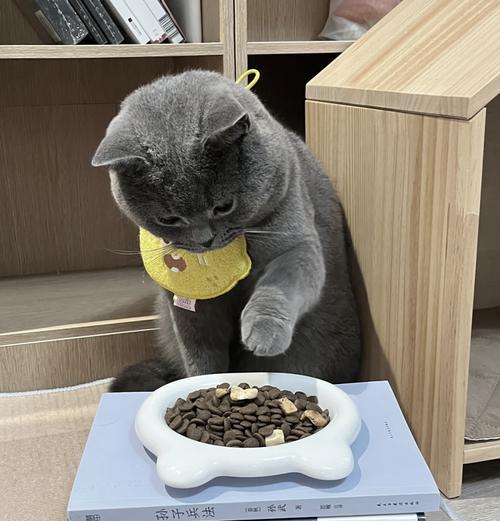 喂食猫粮为何能使猫长得更快？