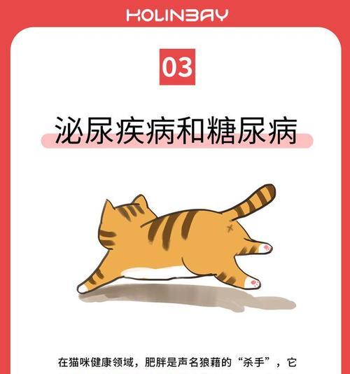 为什么猫咪只吃猫粮也会变胖？肥胖的原因是什么？