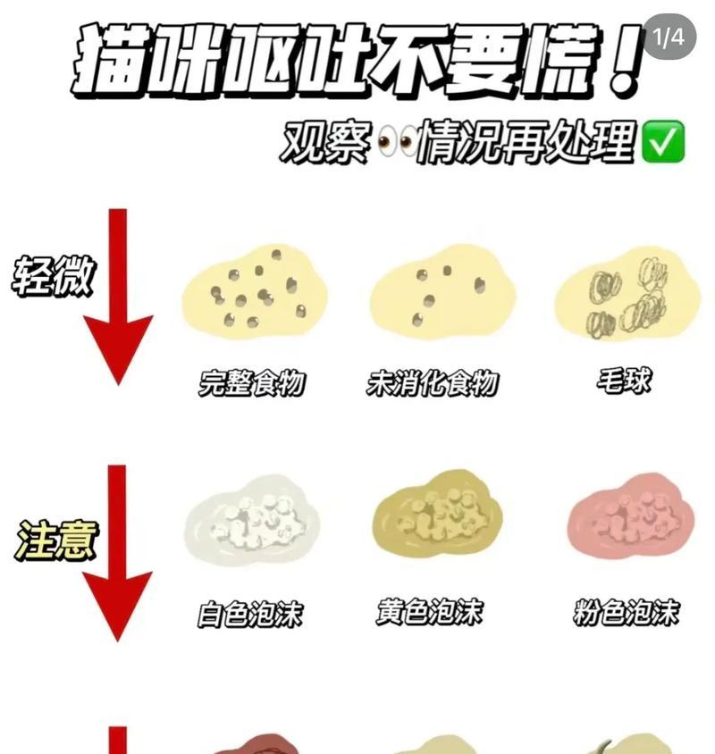猫咪喂食猫粮后呕吐，原因何在？