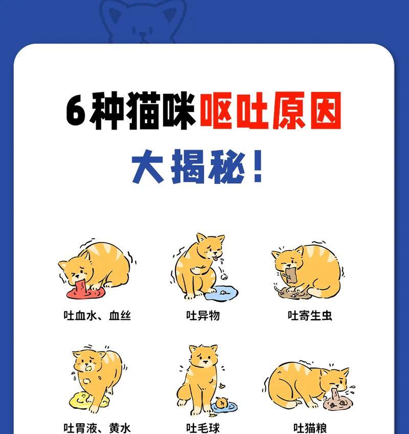 猫咪喂食猫粮后呕吐，原因何在？