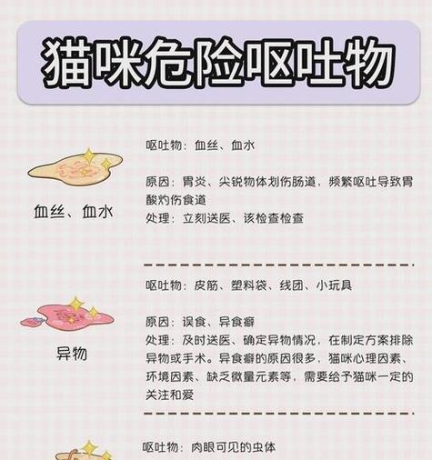 猫咪喂食猫粮后呕吐，原因何在？
