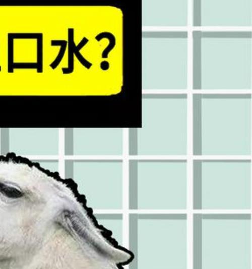 羊驼翻肚皮代表什么？这是什么行为？