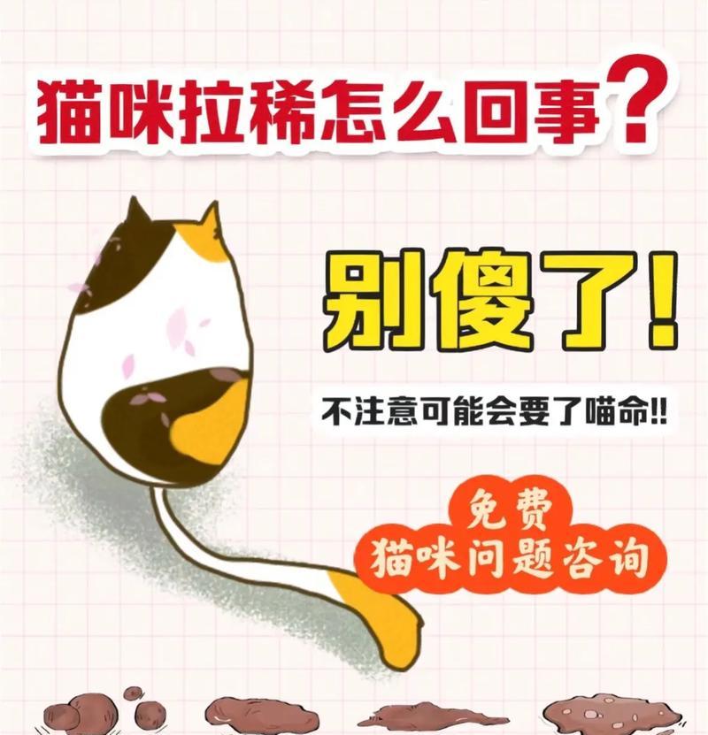 猫咪吃猫粮后拉稀是正常现象吗？应该怎么办？