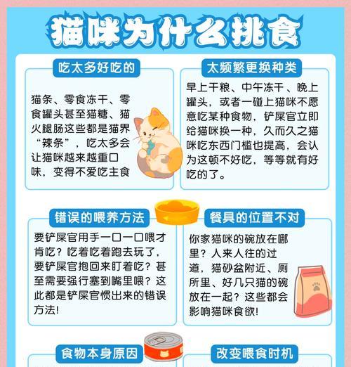 猫吃猫粮很凶怎么治？如何调整猫咪的饮食习惯？
