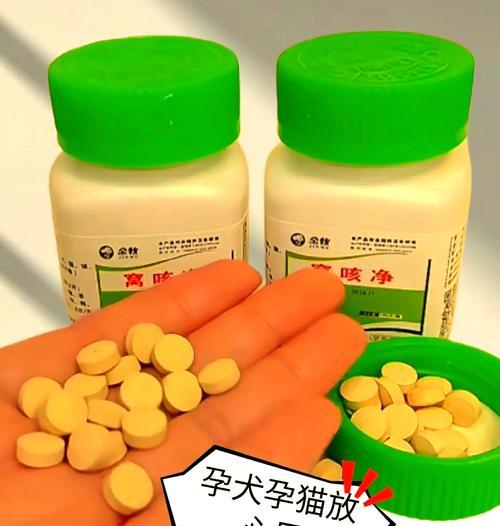 猫咳出血是否与猫粮有关？应该吃什么药？