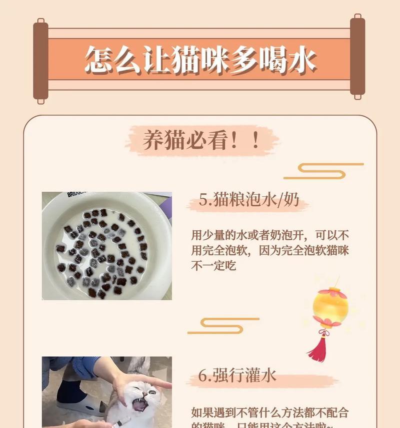 猫咪不喜欢喝水怎么办？如何让猫咪同时摄入水分和猫粮？