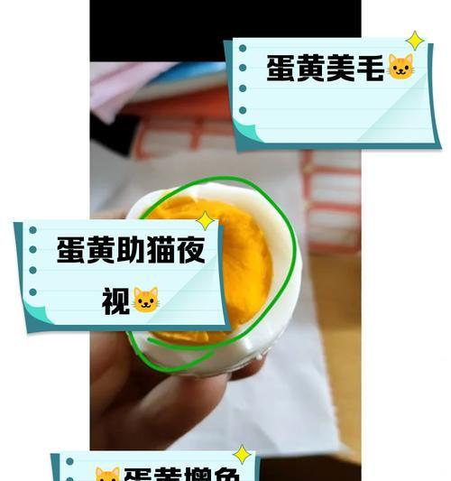 蛋黄与猫粮搭配的利弊？如何正确喂食蛋黄？