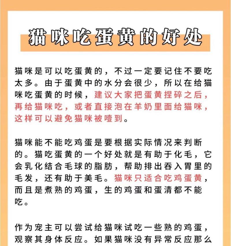蛋黄与猫粮搭配的利弊？如何正确喂食蛋黄？