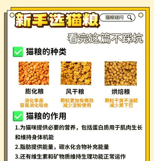 猫粮掉落五秒内是否安全？处理方法是什么？