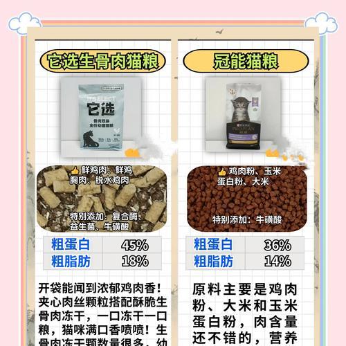猫吃猫粮时被偷拍会发生什么？这种行为有何影响？