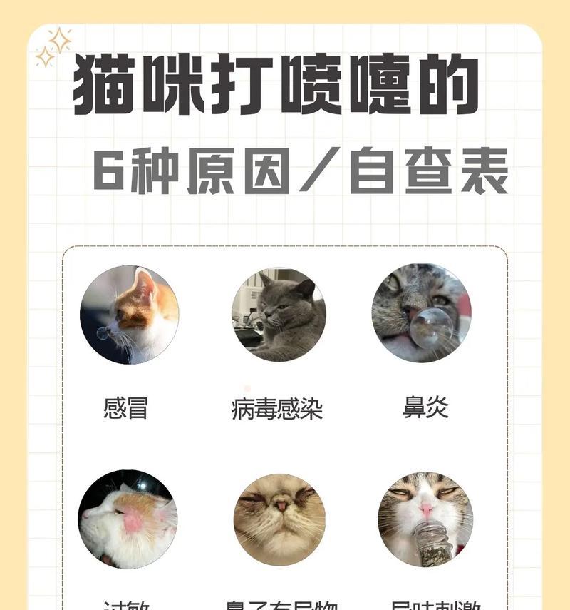 吃了猫粮替人打猫喷嚏怎么办？猫粮过敏的应对措施是什么？