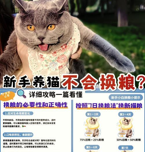 立即换猫粮会有什么后果？
