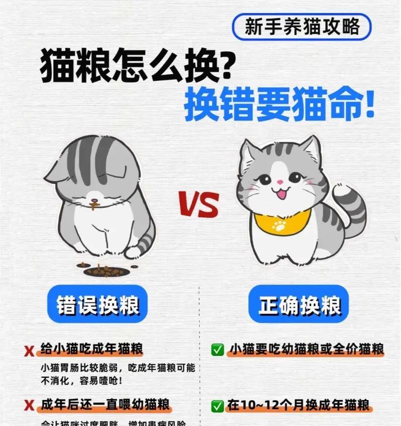 立即换猫粮会有什么后果？