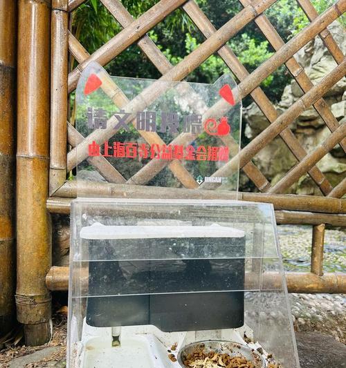 街猫的投喂粮食是如何准备的？投喂街猫需要注意什么？