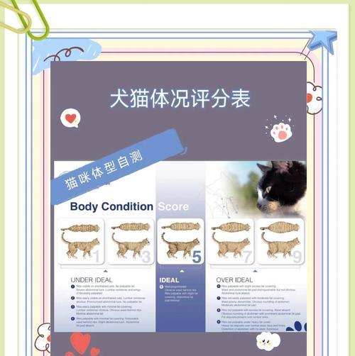 低脂猫粮能否帮助猫咪减肥？其背后的科学原理是什么？
