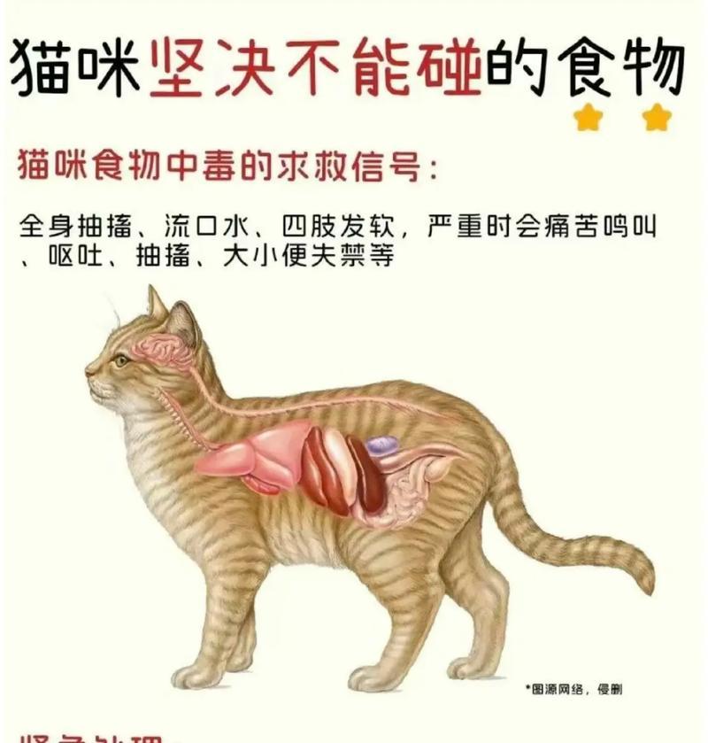 猫咪食物留得少会有什么问题？如何确保猫咪有足够的食物？