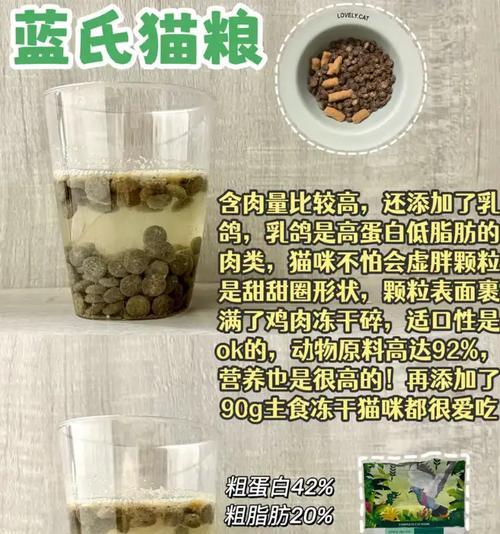 自制猫粮猫咪不吃了怎么办？可能的原因是什么？