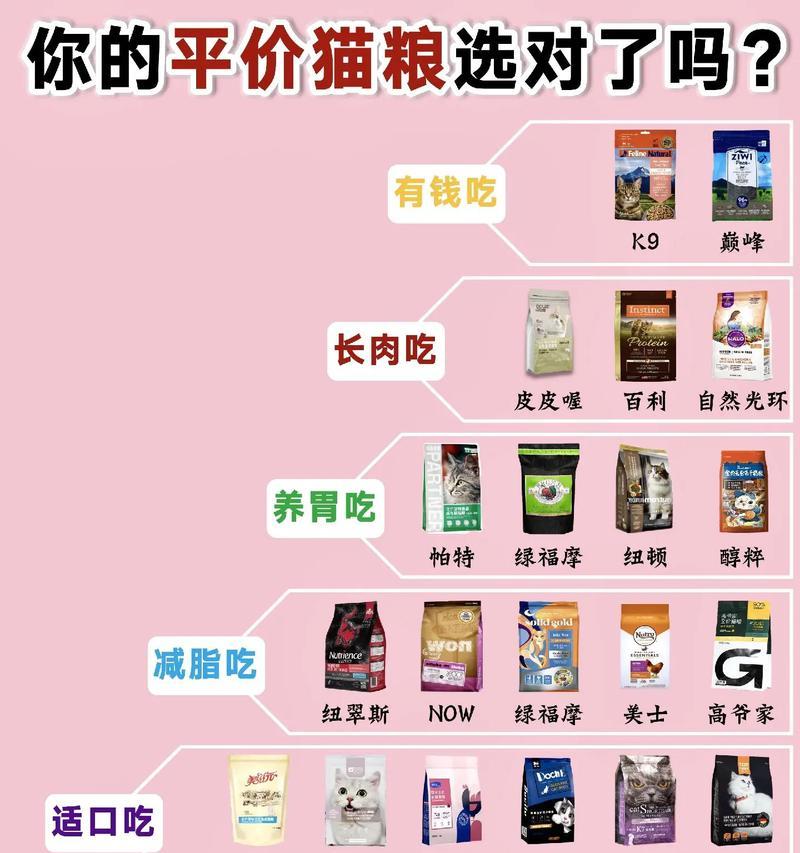 猫咪除了猫粮还能吃什么？
