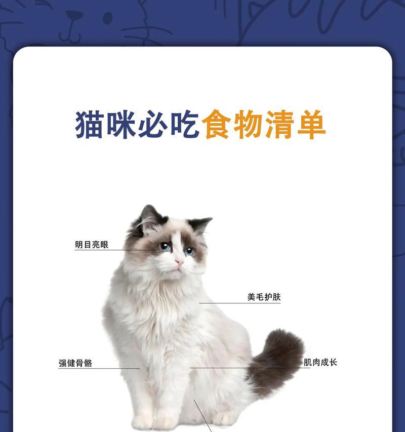 猫咪除了猫粮还能吃什么？