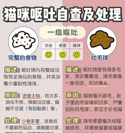 小猫吃猫粮呕吐的原因是什么？如何预防这种情况发生？