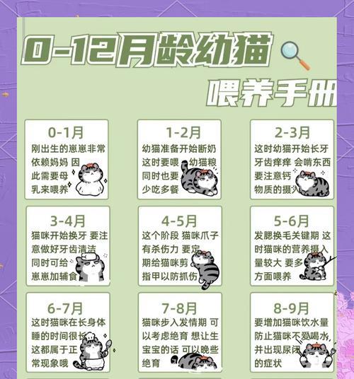 新生猫咪妈妈如何喂养？哪种猫粮更适合？