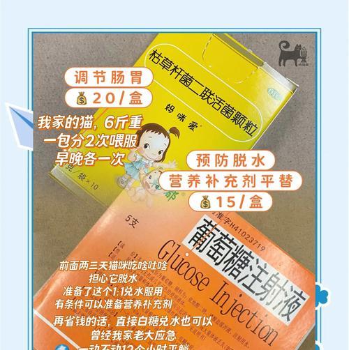 猫粮吃了反胃应该怎么办？需要给猫吃什么药？