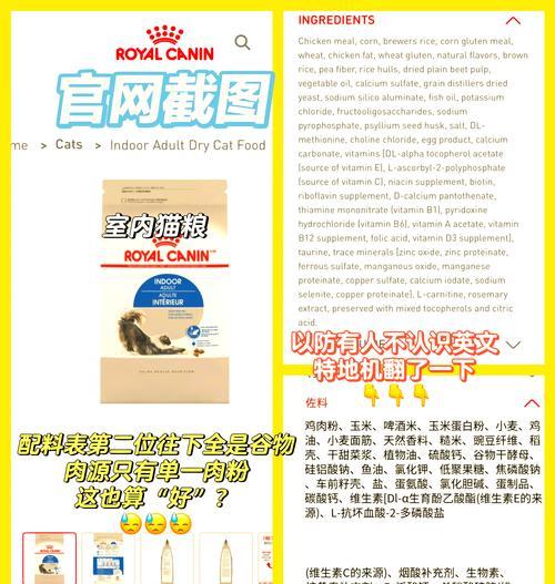 外国泄露的猫粮如何处理？安全措施有哪些？