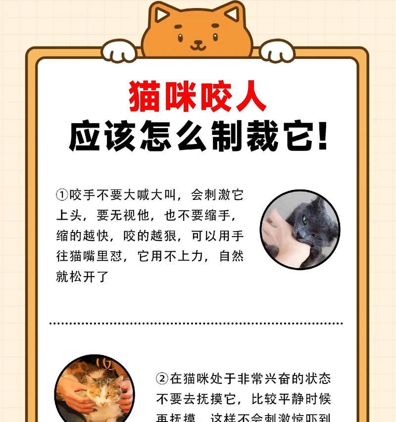 猫咪抓人后断粮的原因是什么？如何处理这种情况？