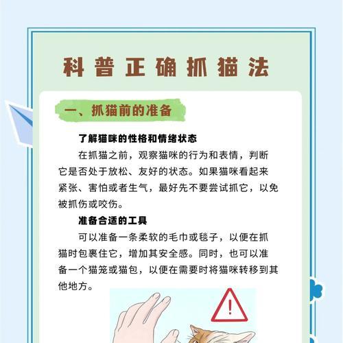 猫咪抓人后断粮的原因是什么？如何处理这种情况？