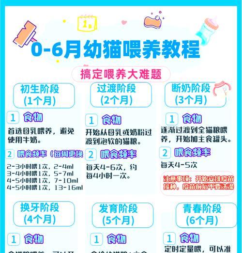 怎么给猫喂猫粮新鲜哥哥吃？有哪些注意事项？