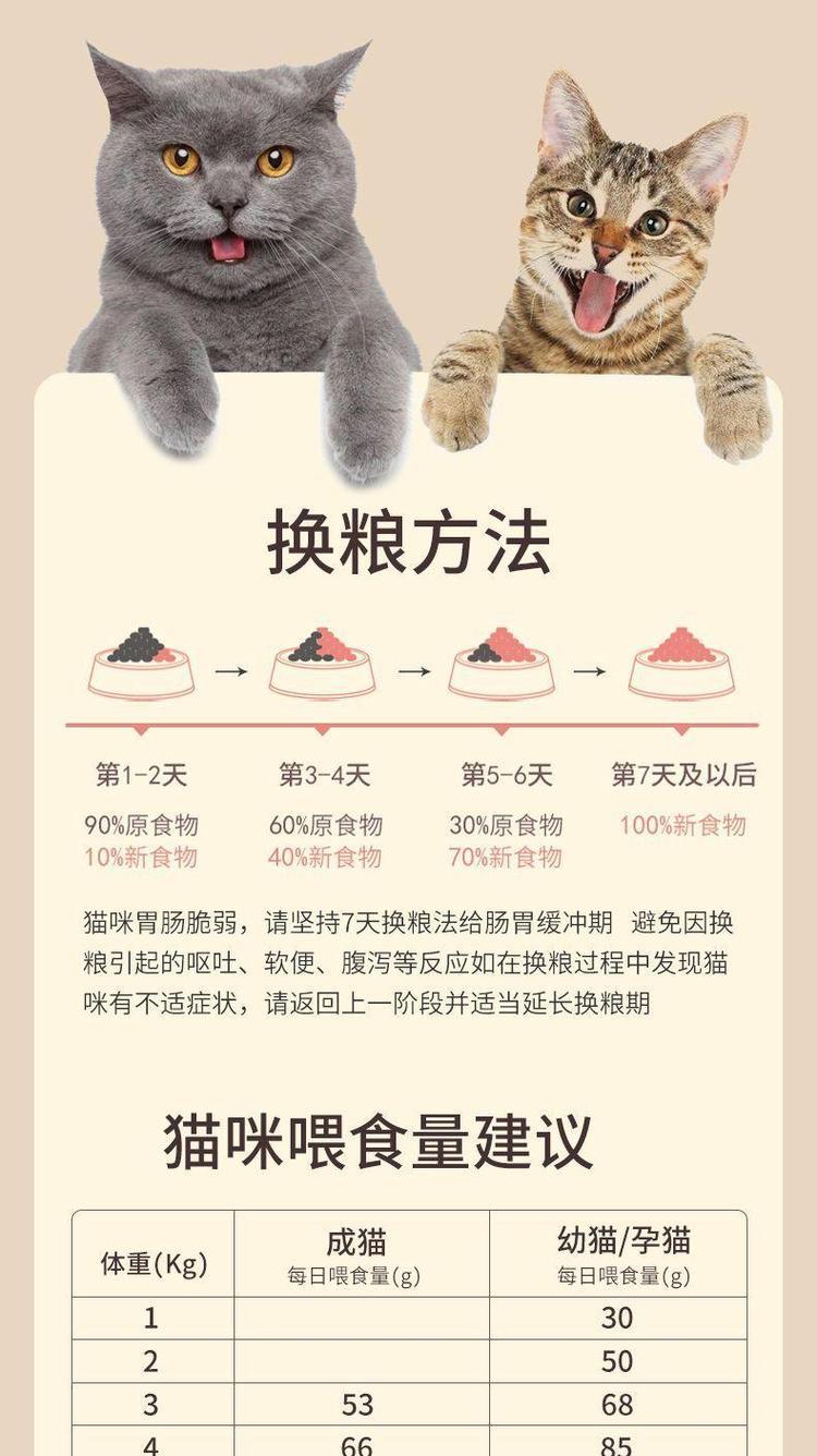 怎么给猫喂猫粮新鲜哥哥吃？有哪些注意事项？