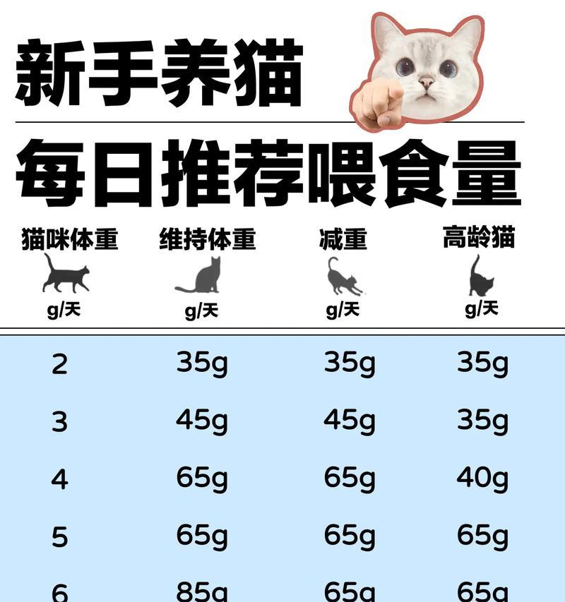 猫只吃猫粮但是却很胖怎么办？如何调整猫咪的饮食结构？