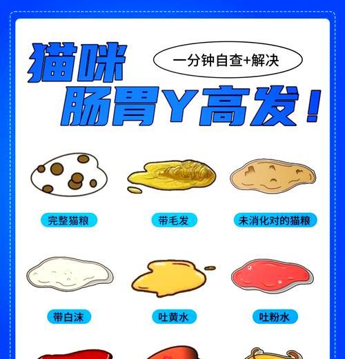 猫咪呕吐猫粮是正常现象吗？可能的原因是什么？