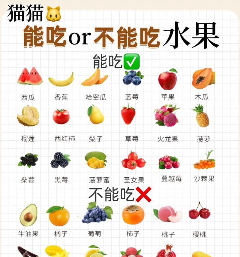 猫咪四岁以后吃什么猫粮？四岁以上猫咪的饮食建议是什么？