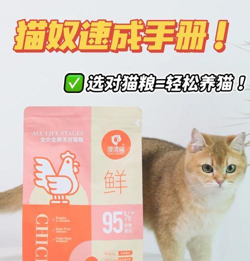 嘴叼猫粮选择有讲究？什么牌子的猫粮适合嘴叼的猫？