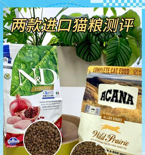 嘴叼猫粮选择有讲究？什么牌子的猫粮适合嘴叼的猫？