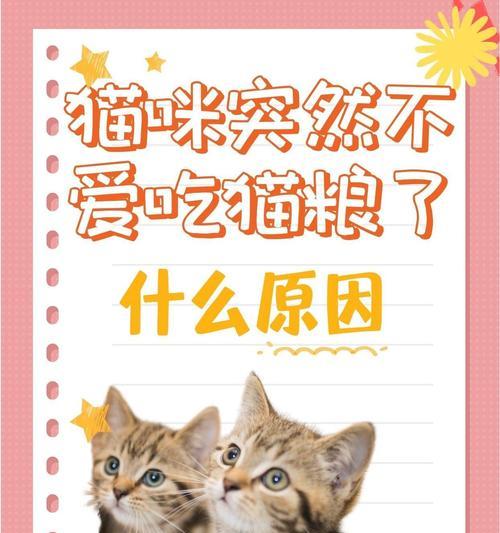 猫突然不怎么吃猫粮了怎么办？可能的原因是什么？