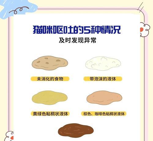 幼猫吃成猫粮为什么会呕吐？这是正常现象吗？